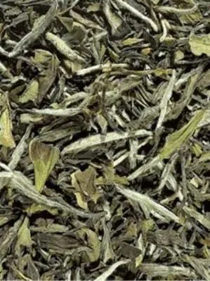 Fehér tea